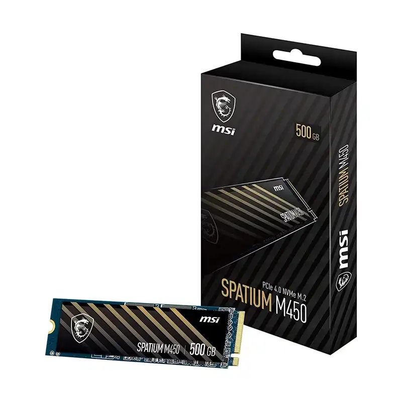 هارد اس اس دی ام اس آی مدل Spatium M450 500GB