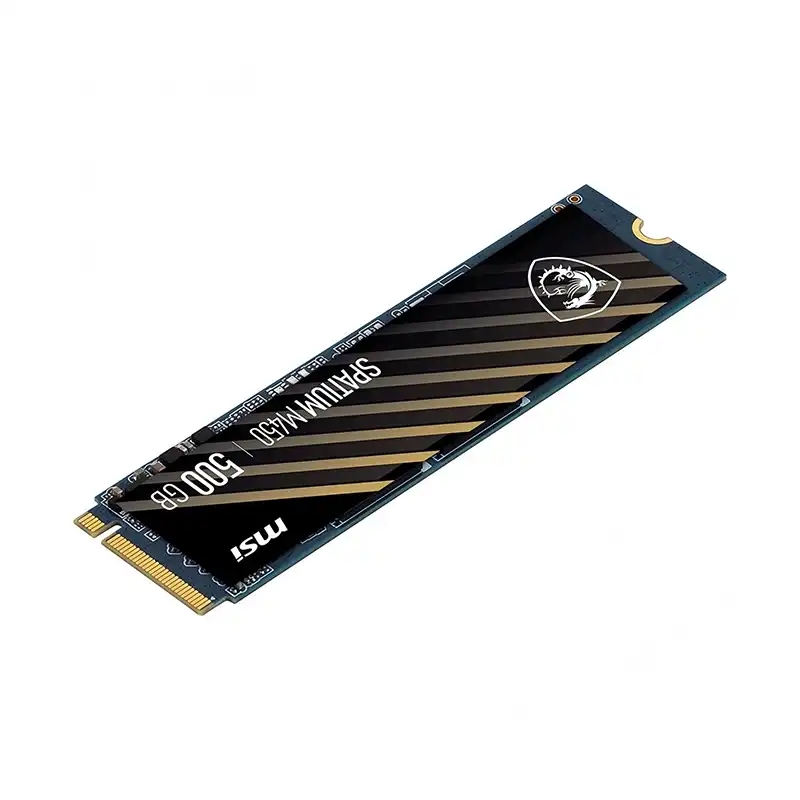 هارد اس اس دی ام اس آی مدل Spatium M450 500GB