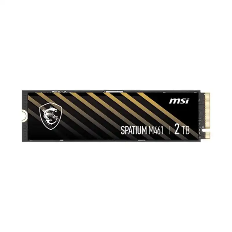 هارد اس اس دی ام اس آی مدل Spatium M461 2TB