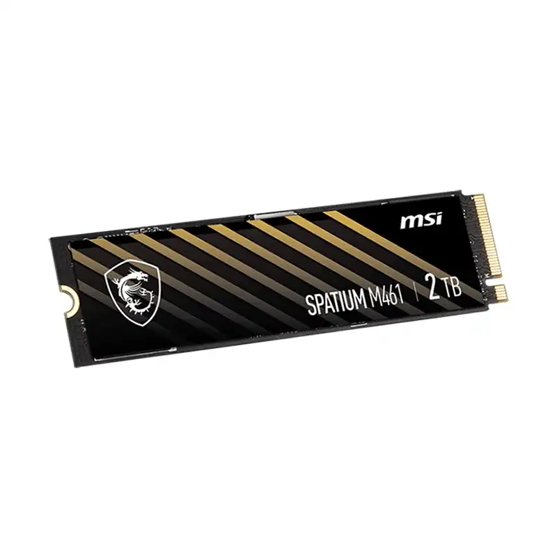 هارد اس اس دی ام اس آی مدل Spatium M461 2TB