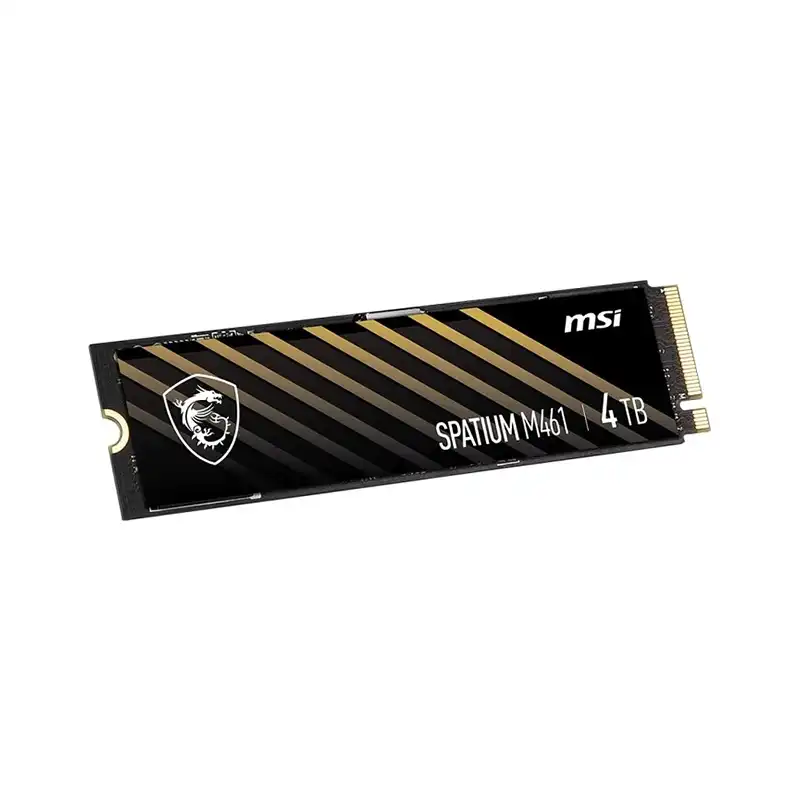 هارد اس اس دی ام اس آی مدل Spatium M461 4TB