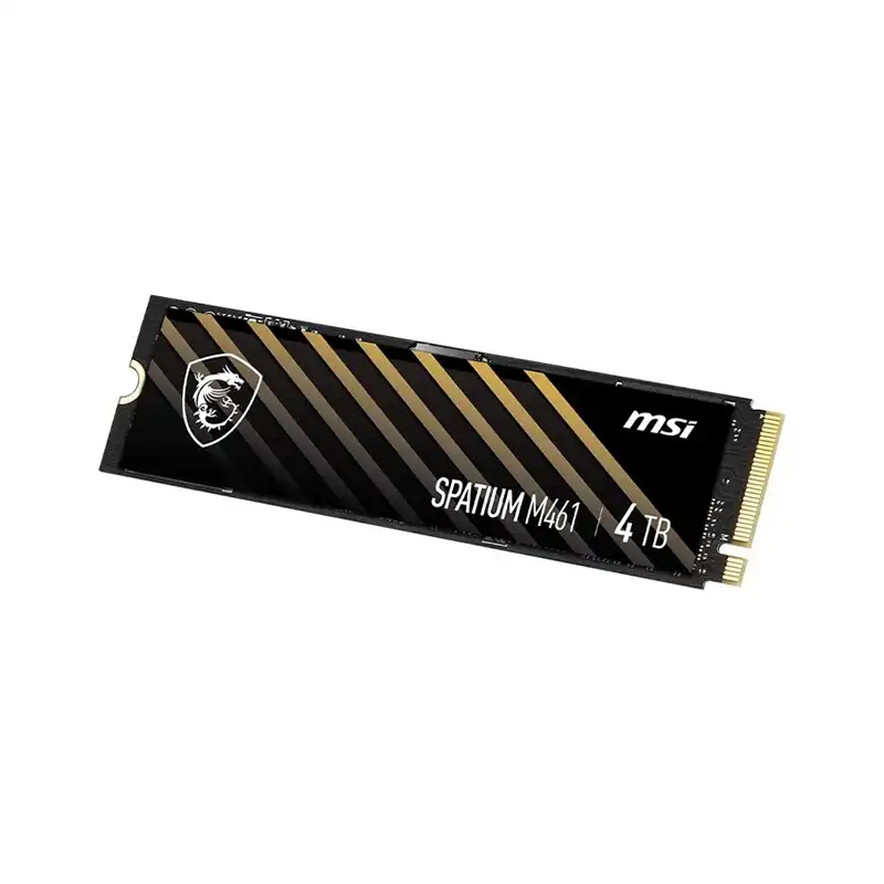 هارد اس اس دی ام اس آی مدل Spatium M461 4TB