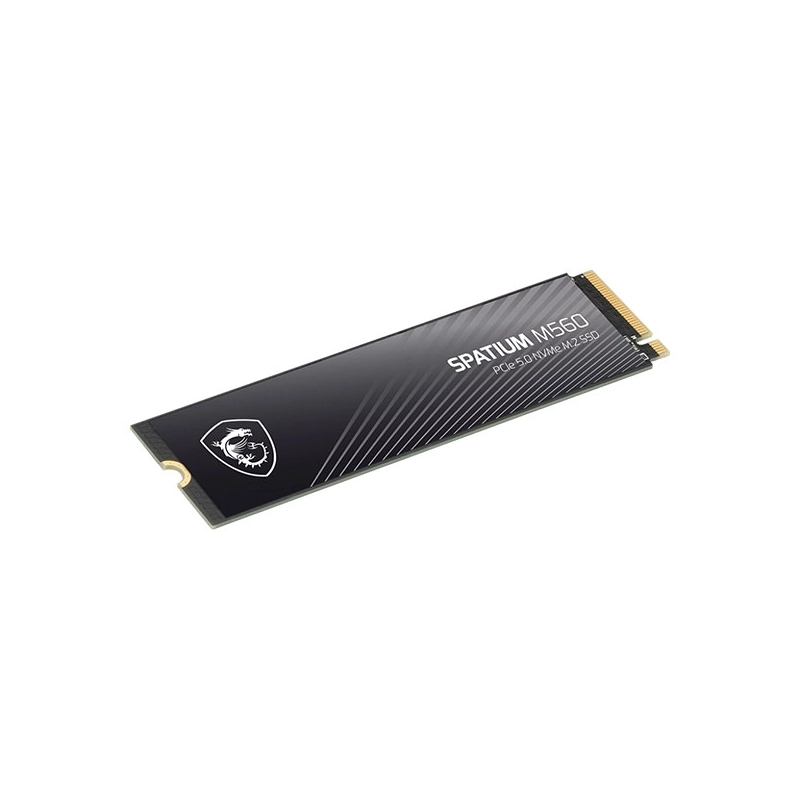 هارد اس اس دی ام اس آی مدل Spatium M560 PCIe 5.0 NVMe M.2 1TB