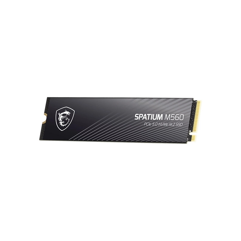هارد اس اس دی ام اس آی مدل Spatium M560 PCIe 5.0 NVMe M.2 1TB