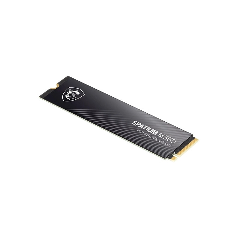 هارد اس اس دی ام اس آی مدل Spatium M560 PCIe 5.0 NVMe M.2 1TB