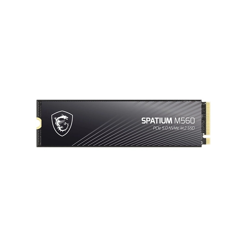 هارد اس اس دی ام اس آی مدل Spatium M560 PCIe 5.0 NVMe M.2 1TB