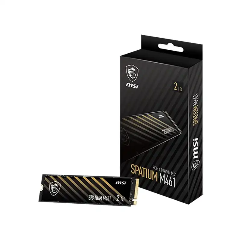 هارد اس اس دی ام اس آی مدل Spatium M461 2TB-1