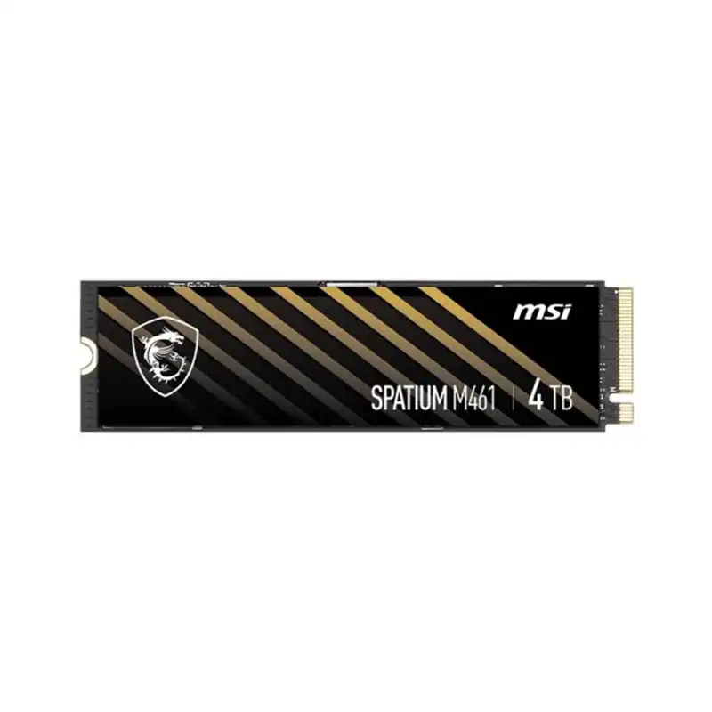 هارد اس اس دی ام اس آی مدل Spatium M461 4TB-0