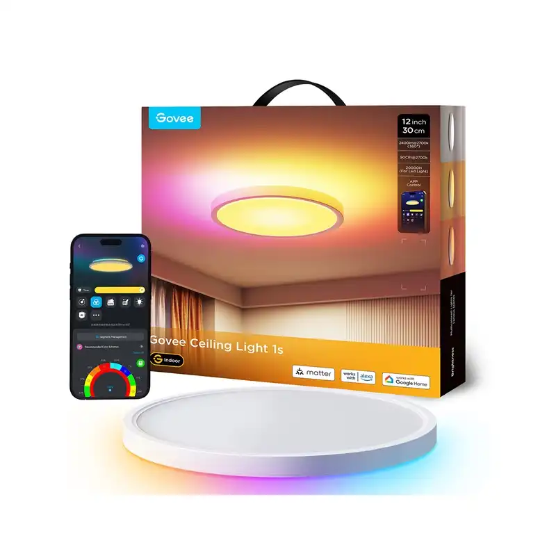 چراغ سقفی هوشمند 30 سانتی گووی Govee Smart Ceiling Light 1S H80A1-0