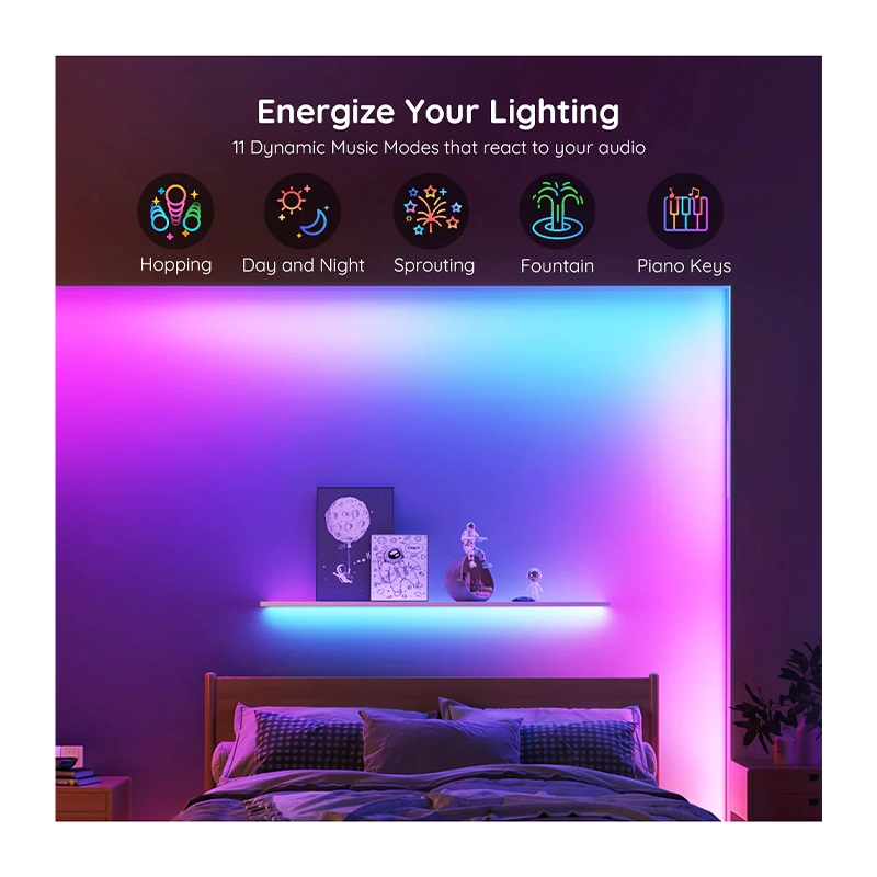 ریسه هوشمند 5 متری گووی مدل RGBIC Basic Wi-Fi+Bluetooth LED Strip H618A-1